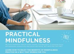   Practical Mindfulness Seminar 